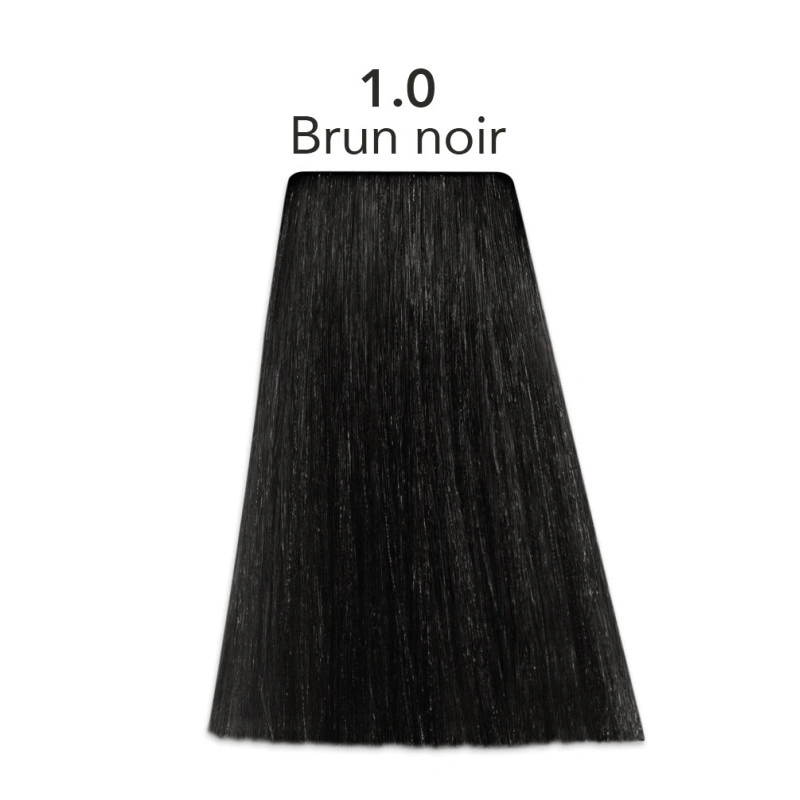 Coloration Color One 1.0 Brun Noir Patrice Mulato 80ML 2 Coloration Color One 1.0 Brun Noir Patrice Mulato 80ML – Image 2