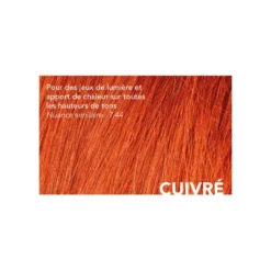 Coloration Générik Mèches Cuivré 60 ML 8 Coloration Générik Mèches Cuivré 60 ML -Soins Capillaires Liquidation coloration generik meches cuivre 60 ml 3