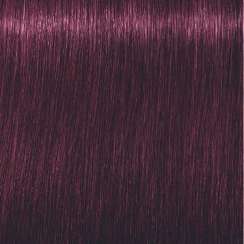 Schwarzkopf Professional Coloration Igora Royal 6-99 Blond Foncé Violet Extra Schwarzkopf 60ML 2 Schwarzkopf Professional Coloration Igora Royal 6-99 Blond Foncé Violet Extra Schwarzkopf 60ML – Image 2