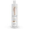 Fluide Disciplinant N1 Cheveux Normaux-épais Keratin Kontrol Vitality's 500ML