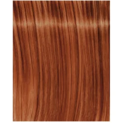 Schwarzkopf Professional Igora Royal Fashion Light - Toutes Nuances -Soins Capillaires Liquidation igora royal fashion light toutes nuances 2