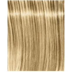 Schwarzkopf Professional Igora Royal Fashion Light - Toutes Nuances