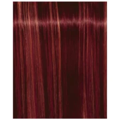 Schwarzkopf Professional Igora Royal Fashion Light - Toutes Nuances -Soins Capillaires Liquidation igora royal fashion light toutes nuances 3