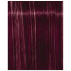 Schwarzkopf Professional Igora Royal Fashion Light - Toutes Nuances -Soins Capillaires Liquidation igora royal fashion light toutes nuances 4