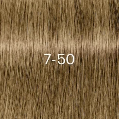 Schwarzkopf Professional Igora Zéro Amm 7-50 Blond Moyen Doré Naturel Schwarzkopf 60ML -Soins Capillaires Liquidation igora zero amm 7 50 blond moyen dore naturel schwarzkopf 60ml 2