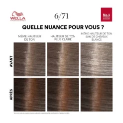Wella Professionals Kit De Coloration Blond Foncé Marron Cendré Medium Maple Brown Color Touch Fresh-Up 6/71 Wella -Soins Capillaires Liquidation kit de coloration blond fonce marron cendre medium maple brown color touch fresh up 6 71 wella 4