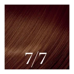 Wella Professionals Kit De Coloration Blond Marron Walnut Brown Color Touch Fresh-Up 7/7 Wella -Soins Capillaires Liquidation kit de coloration blond marron walnut brown color touch fresh up 7 7 wella 5