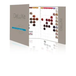 Nuancier Coloration Cheveux 3Deluxe 100 Mechettes