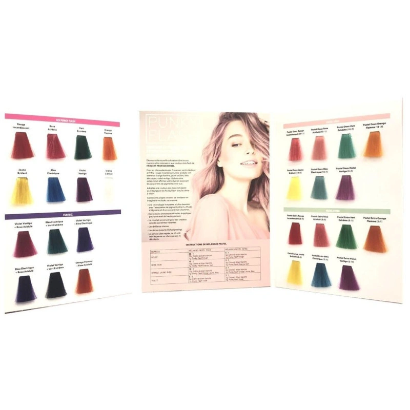 Nuancier Punky Flash Fauvert Professionnel 2 Nuancier Punky Flash Fauvert Professionnel – Image 2